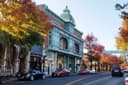 Explore St. Helena